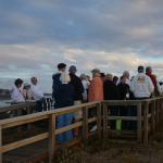 Cambria_0159 (November 04, 2017)